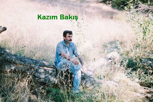 kazim bakis