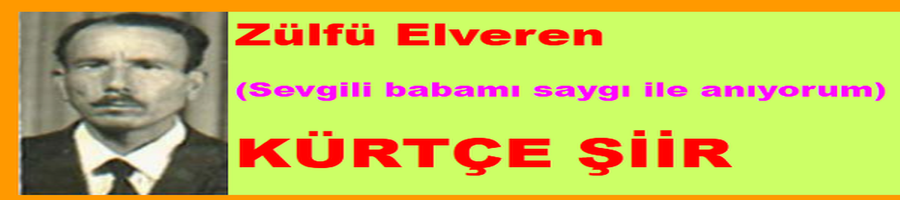zülfü logo 2